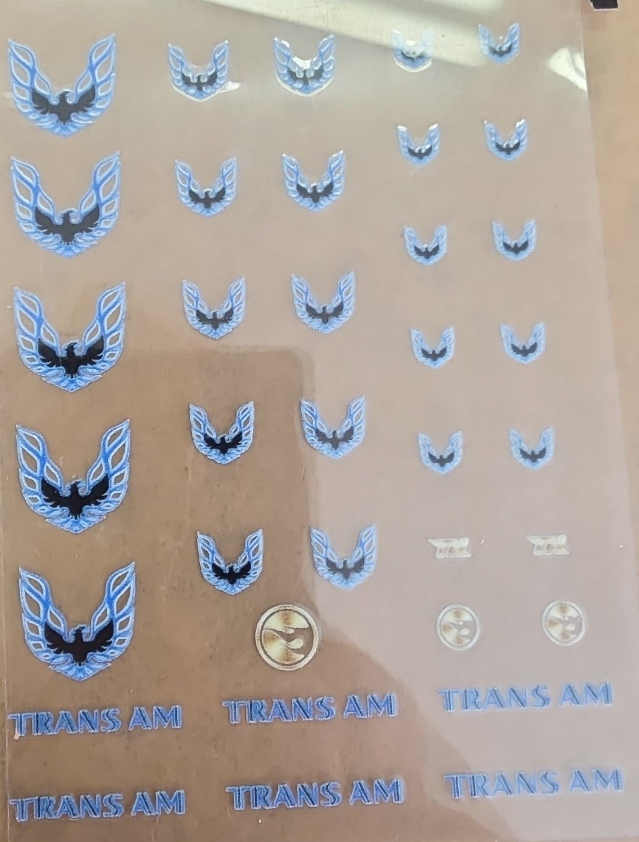 TransAM Blue Universal Livery for 1:64 scale diecast cars and trucks