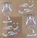 Rexy Skeleton Porsche GT3RS Livery
